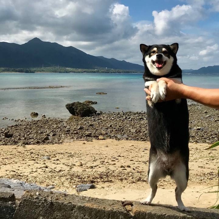 D1255d7b 0a61 4956 b19b 7683a66ab185 1510713093025