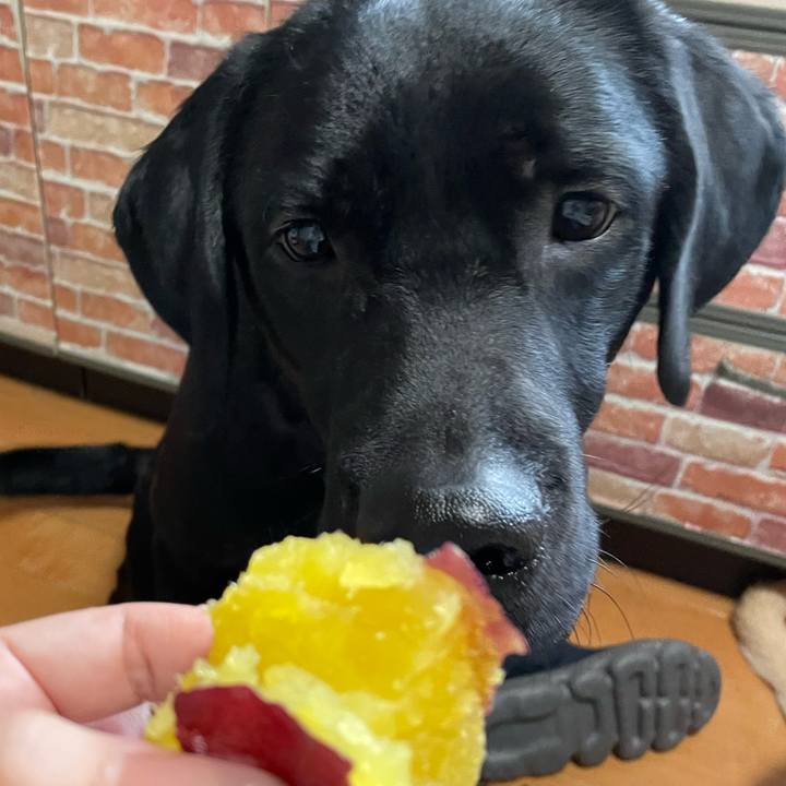 D1257f54 212d 4ee4 8726 fb9dc5029312 1644977874708