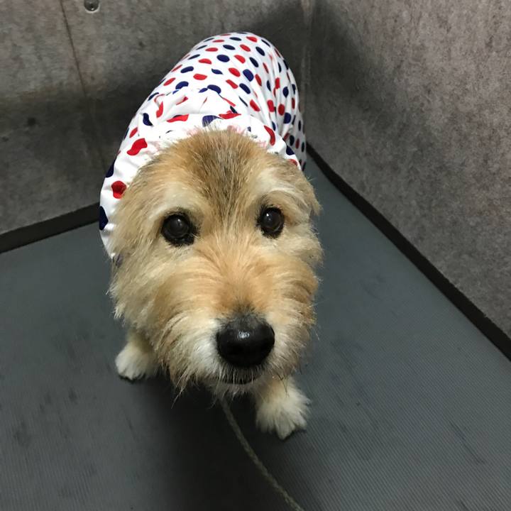 D125edc5 c268 4763 b834 fbfaa79fddef 1680919090947