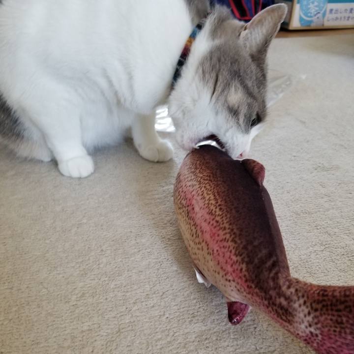 D125fe5f 1f02 40eb 8c9d ecfe3d328058 1623035963879