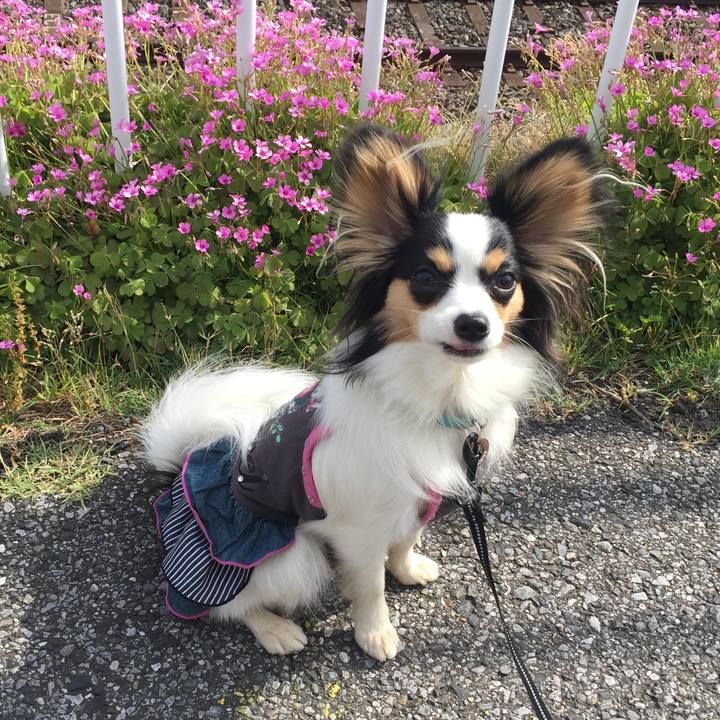 D126029e eab1 4dc4 ae89 1924118ae2c9 1619656548648