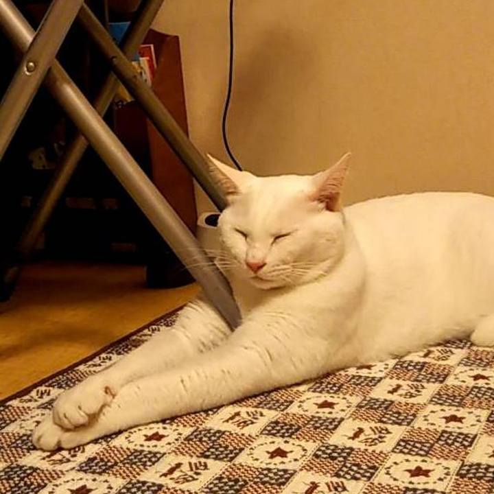 D12609c7 f637 41db 81d5 ecf4b28d054c 1538839202323