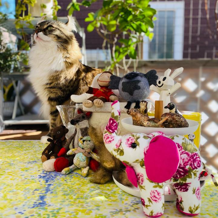 D1260aff 5386 4202 851c 20b3e4cafad2 1637896270641