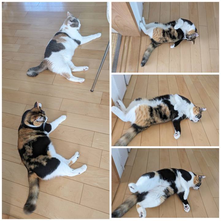 D1261a17 13e5 438d 91d8 ed87953032dc 1696218748425