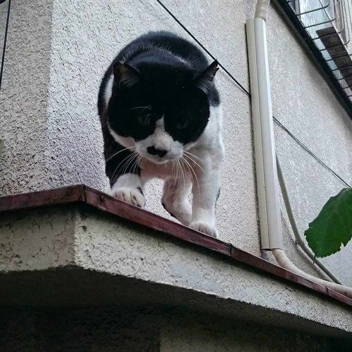 D12643b9 8f88 47c5 9120 70c17a43c5c3 1509405802651