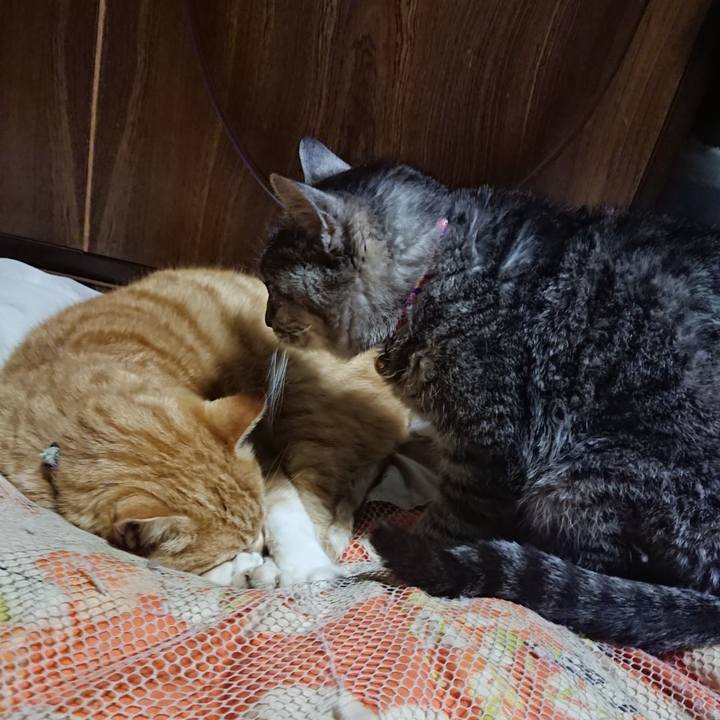 D1264489 922e 4ca0 906d 22a7bc4720cb 1584533699839