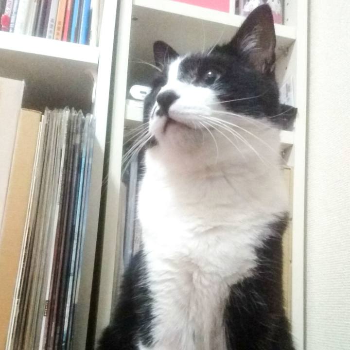 D12652b2 6dfa 4114 8b5c 2890a1c1b2b2 1507946339956