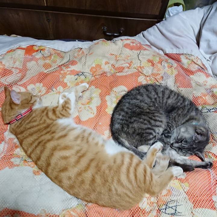 D12686d4 728c 4ba7 a34d 6d3087f9fd96 1570284506998