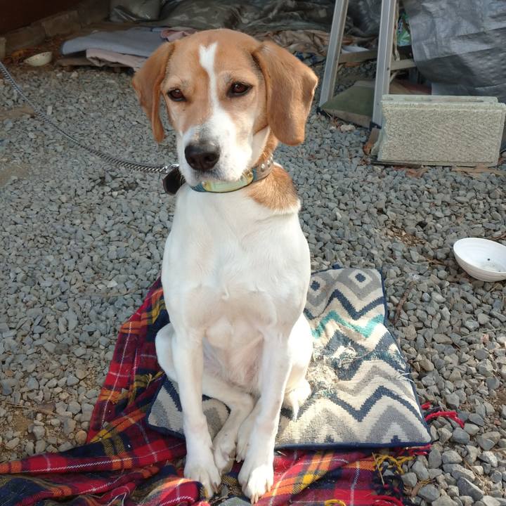 D126a263 6db2 4812 9b70 455871e774d8 1611625736830