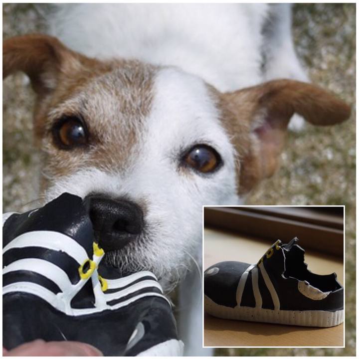 D126ae5b bb10 4a1f b4ae 635bfb195048 1557926432376