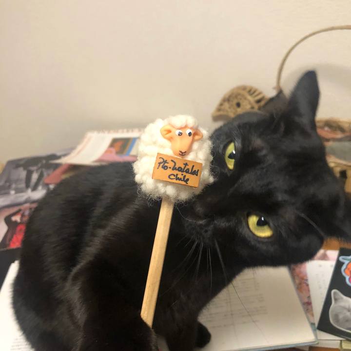 D126ba03 304b 48ed 8df7 be36bea7c02d 1579943268051