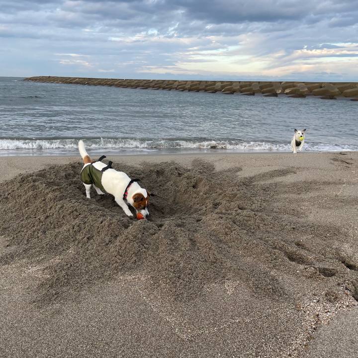 D126bb8c e917 44b4 91d4 d2491fc54afd 1763165336397