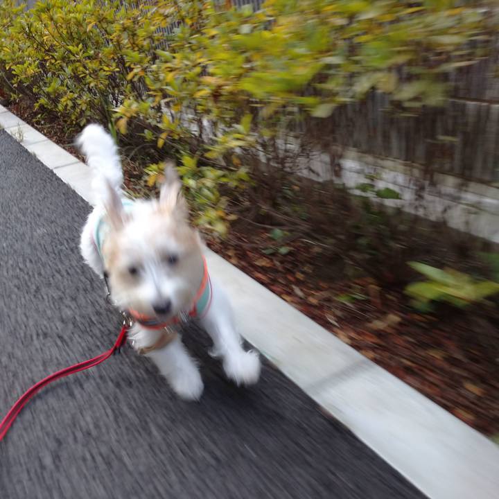 D12715b4 3dc9 4b46 8b8a f77fbf038792 1755821747082