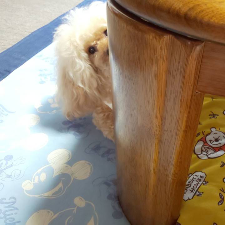 D1273b88 f747 46ed b835 55f061619470 1624620355021