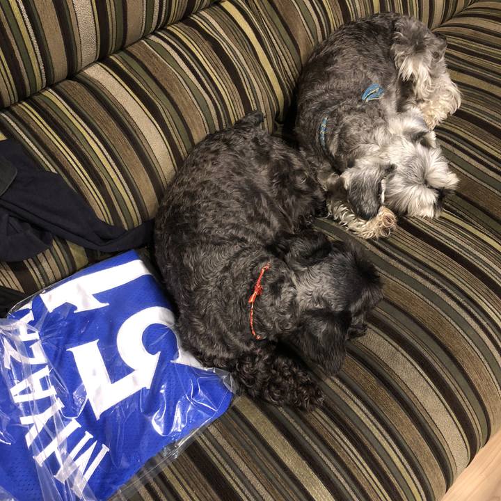 D127496a d874 48b9 89c0 5ad942fccea0 1528291821364