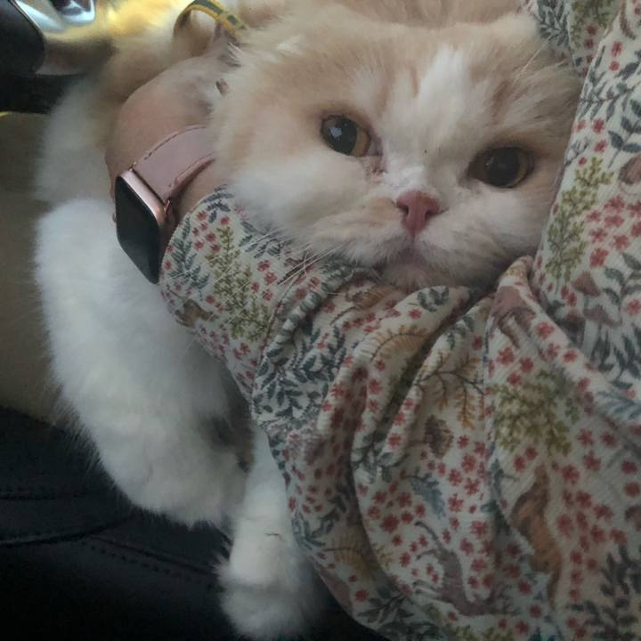 D1274c61 be1a 4e49 a11f 5d7c18acc63e 1686308951112