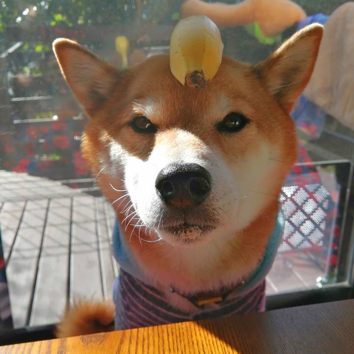 D1277752 e7ac 41f9 96e2 a3dc6e92df0e 1676423486672