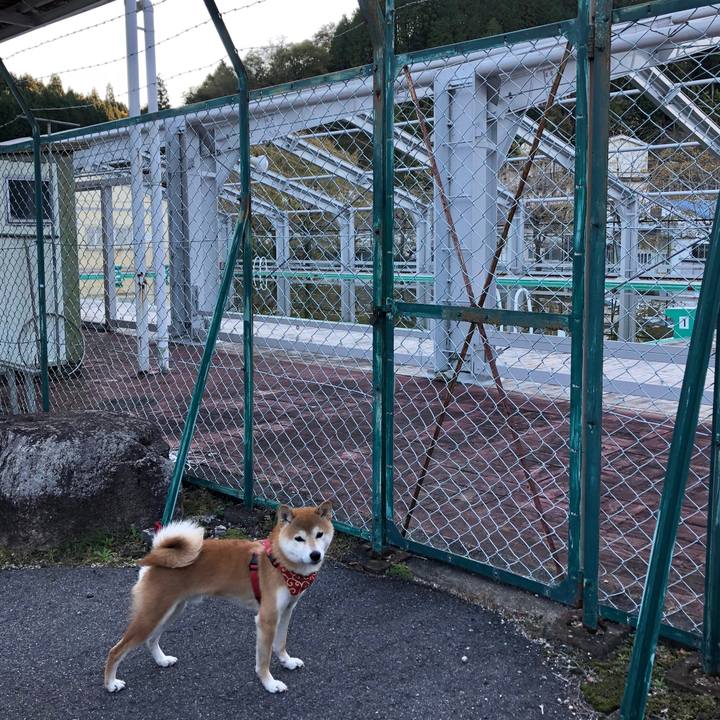 D12779bb 78f9 4fcc bba6 5327f67da9ca 1541313314288