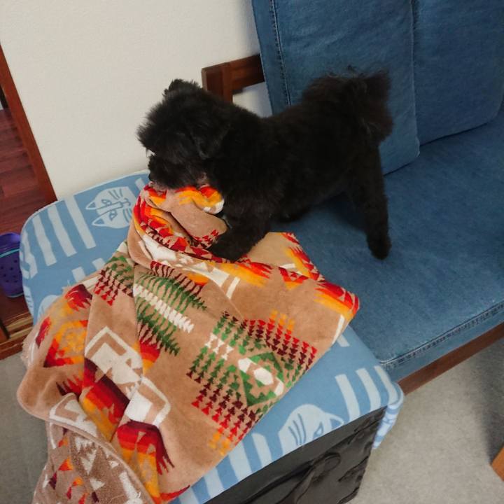 D127ad87 219a 4b9f b7d4 79293714a2ef 1561523808692