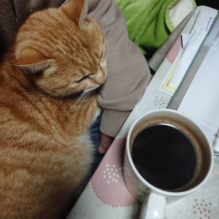 D127b22f 401d 4eef 8c71 1ac4d6aad980 1582833670052