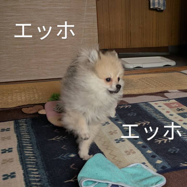 D127b9f3 5c5d 4c75 8e0b 860bc0eae706 1748338601335