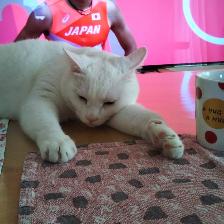 D127d7a9 25f5 428a a46f 23af8c12e8dd 1628120028271