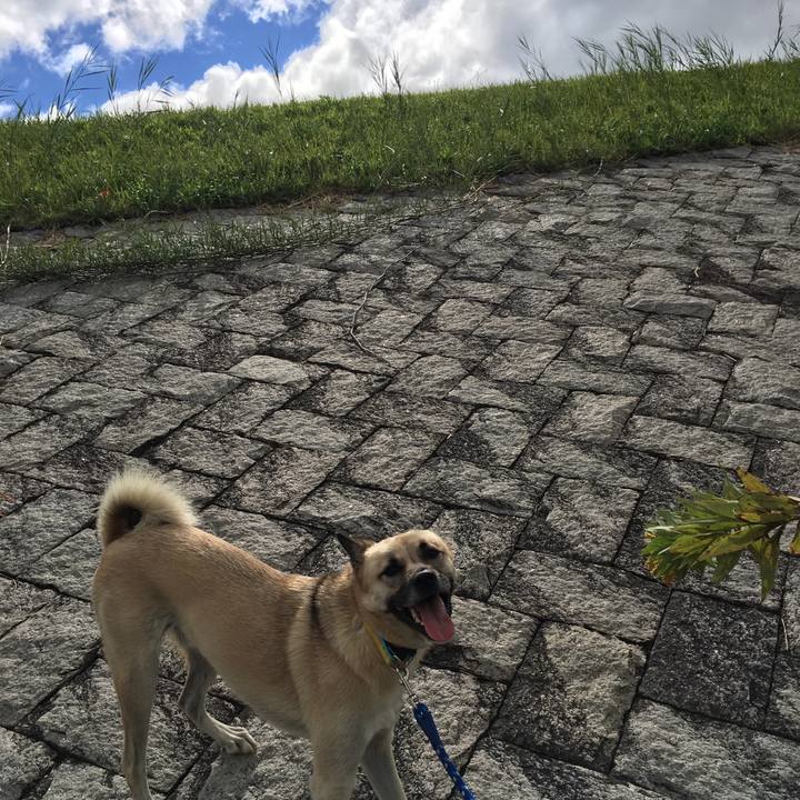 D127d7d3 c42c 4421 a229 f53bc46ffe46 1509255594444