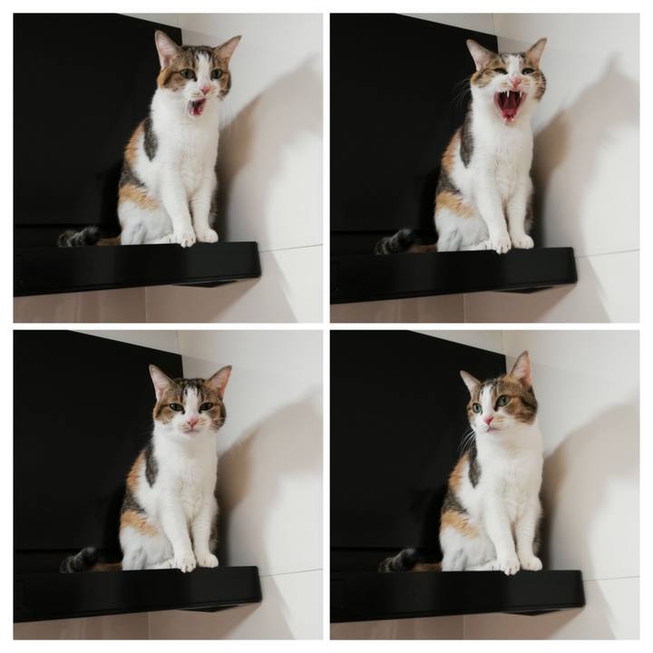 D128545f 0962 4d3b a7f0 71a25a6e3c24 1705359111620