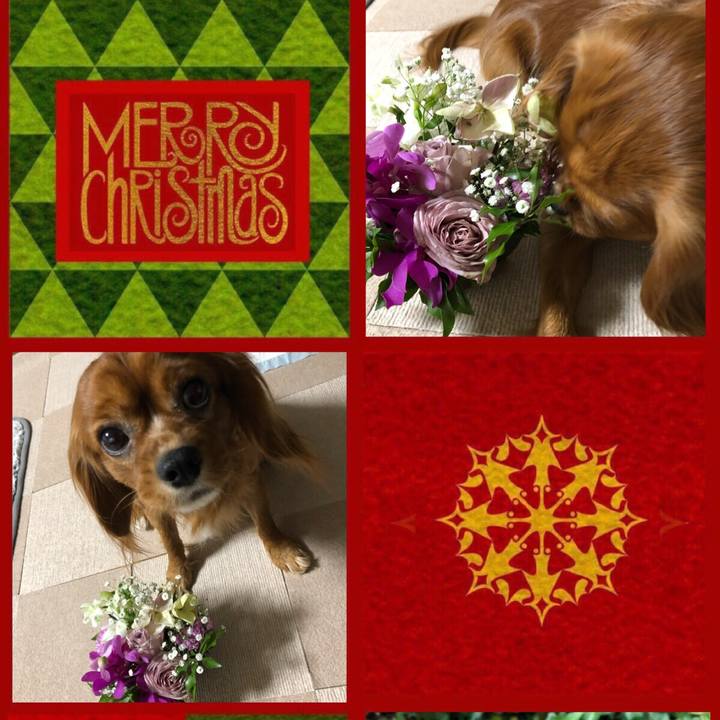 D1287766 13d6 4422 a691 f81d2a9cacb0 1545640222703