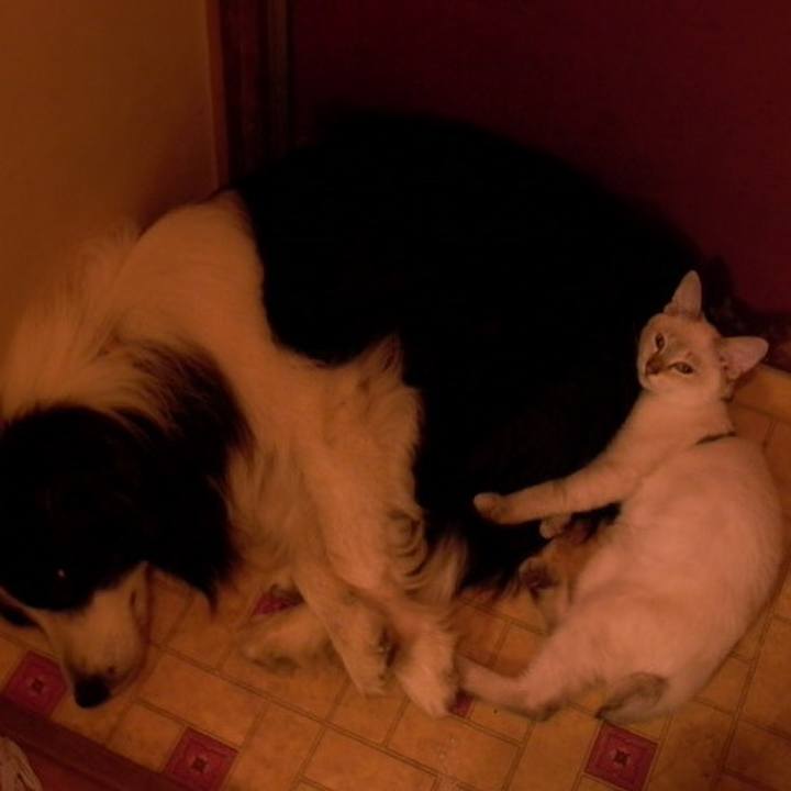 D1287e85 6b6c 41f2 89a1 afd9f080ef26 1619008796600