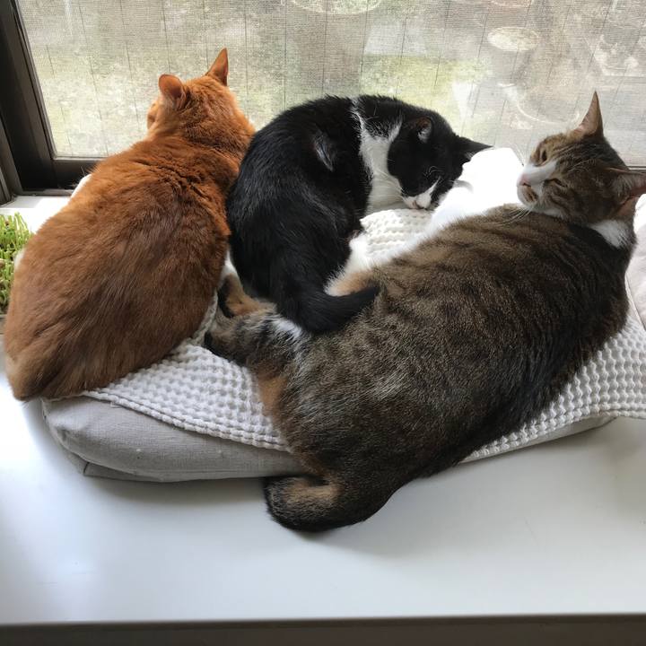 D1288019 250c 45a3 ada9 911c8d5ebbb1 1521094657752