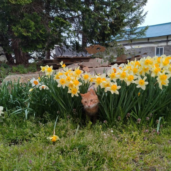 D1289560 9a7d 4150 b339 18cdb8cd3443 1681461878954