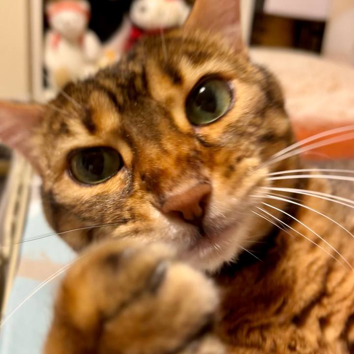 D128b73f b414 47b6 a16d cba65acd8ba2 1656903473097