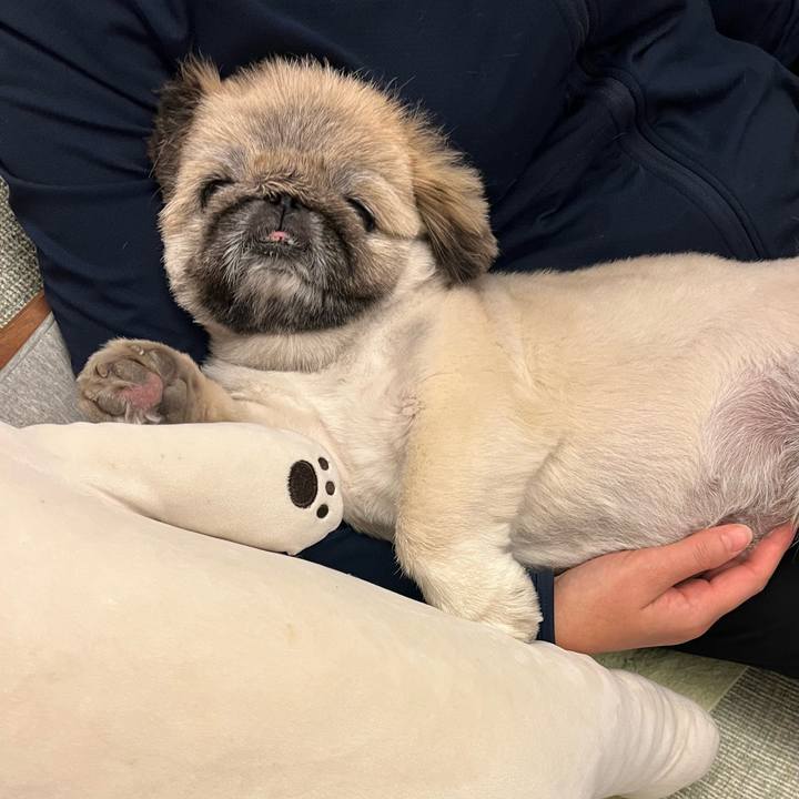 D128edff 96f3 4106 82f1 0cae92bf15f1 1731152370269