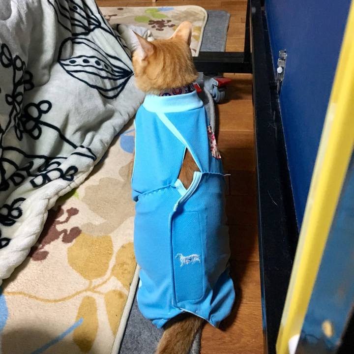 D128ee2f 85ca 46ba 8453 77439d207b6d 1520252616647