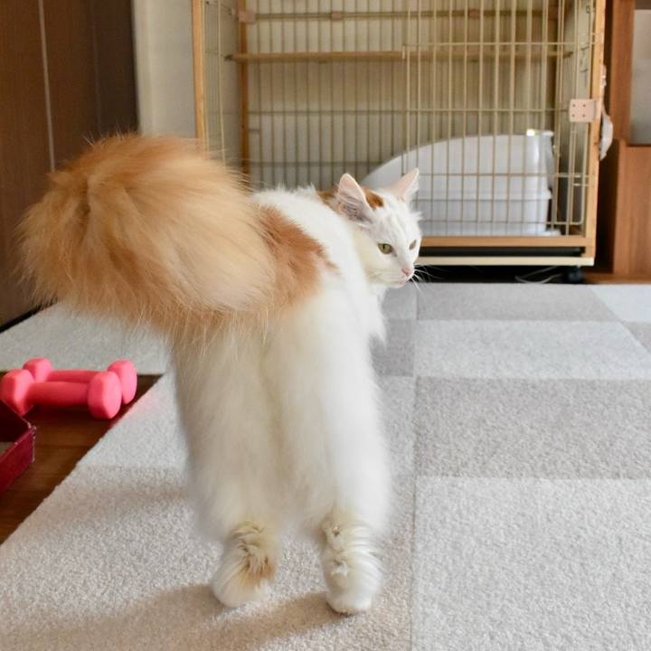 D1291e01 34ea 4641 8fa1 aa5510e3fb63 1772848846550