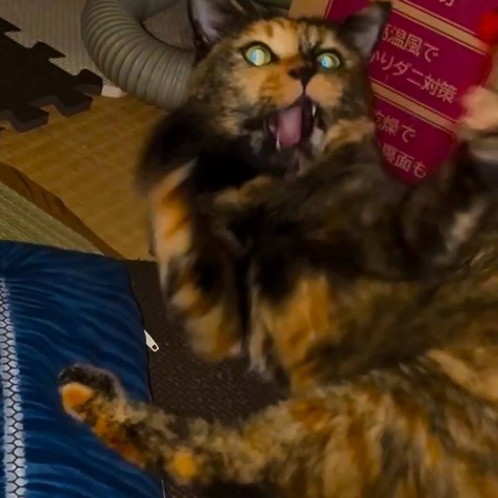 D1293bb8 9437 4371 9a9b 378243c8b837 1757197951436