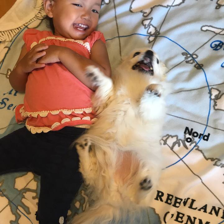 D1294dc5 33c2 43ae b260 0be396d0039d 1568290155979