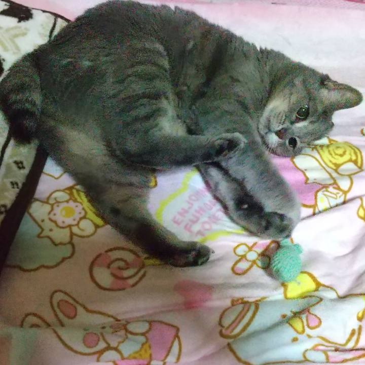 D12964a3 4a16 4044 9abd 7a2be6336968 1638803810291