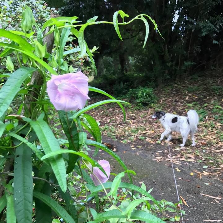 D1296d4b 90c7 4966 9547 8eabccf54758 1534916735880