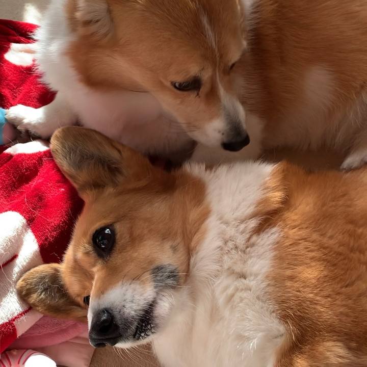 D12971d9 d8ba 4e16 9e72 bff5ec8db7a3 1641619043342