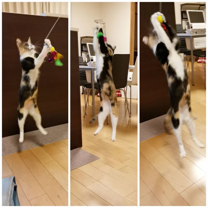 D1297cc3 4351 40d7 96f1 8ac3f914bae9 1605360023587