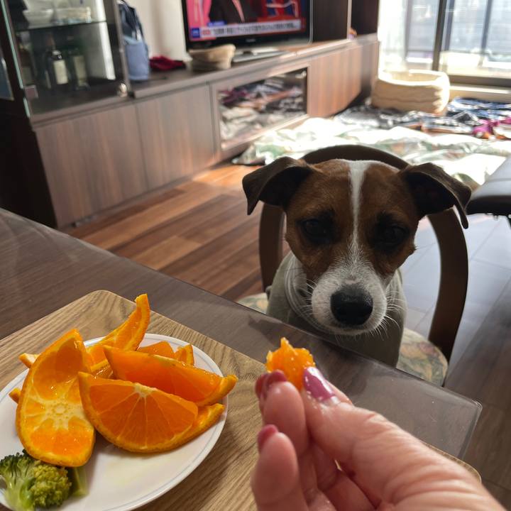 D1298472 ed0f 4792 8f78 b886242b4b3b 1646438838210