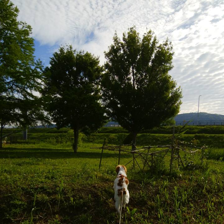 D1298f0a 0ff7 4d34 b037 b6c9cc8e410c 1525753941870