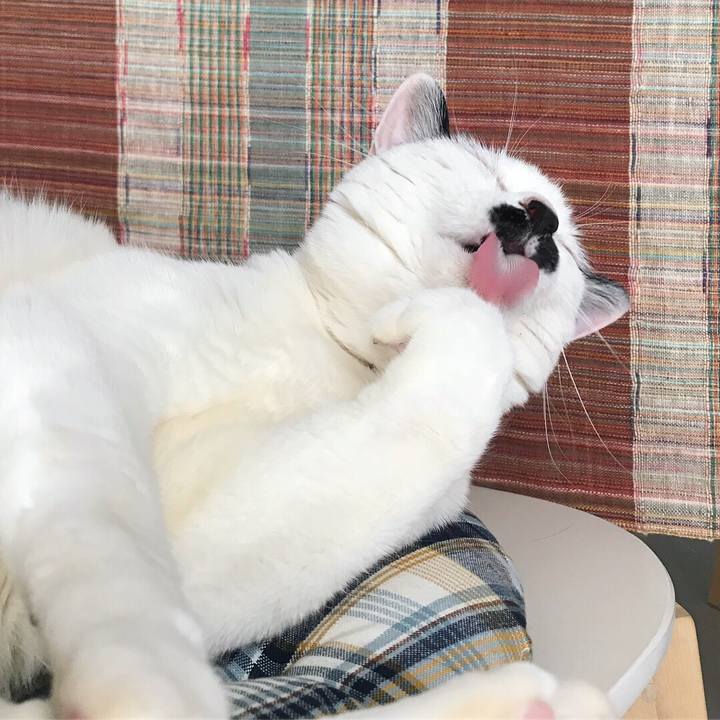 D1299a87 7021 4740 87e5 b2de69a794f6 1525682081227