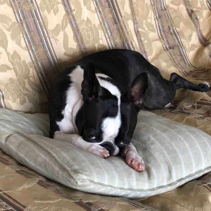 D129a4b7 5bd6 4959 a703 724551f89fac 1564556674973