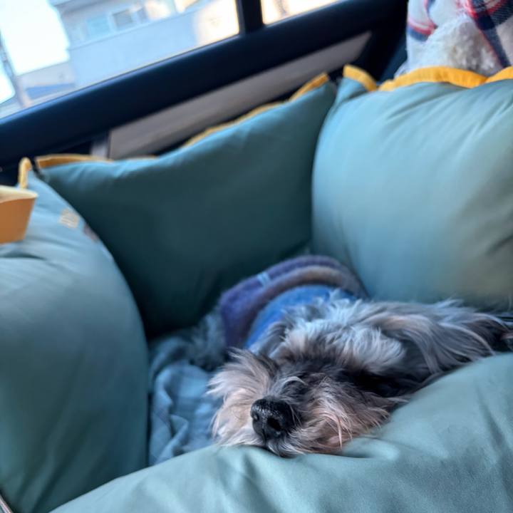 D129b59b bd52 4561 ac68 e29d99383098 1766921628138