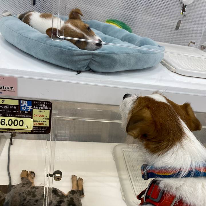 D12a26d0 aa18 467c 9265 a1edc915c0b4 1672291011202