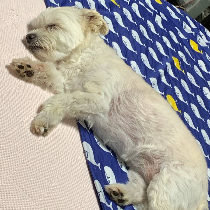 D12a37a7 6bd8 4407 9ae9 15f086b9ef2b 1623936164454