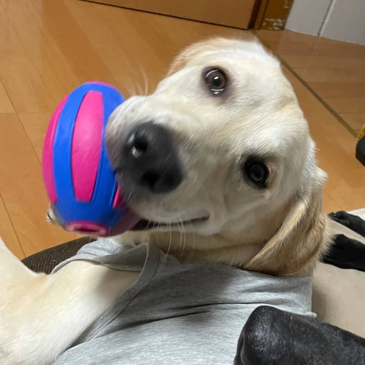 D12a6d83 dfa9 425a a00b 3c0f46f4c0fb 1627135638576